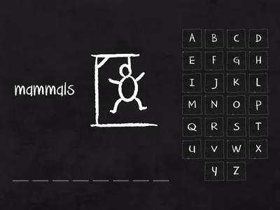 strength witch animals