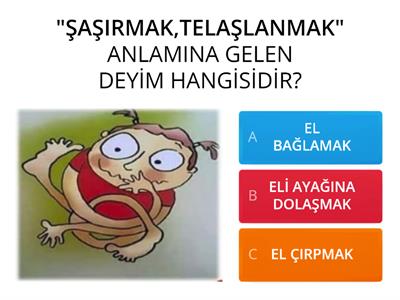 BİLGİ YARIŞMASI DEYİMLER VE ATASÖZLERİ 3.SINIF