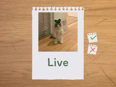 Verbs in past simple activity 3