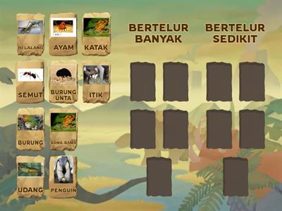  HAIWAN BERTELUR BANYAK DAN SEDIKIT