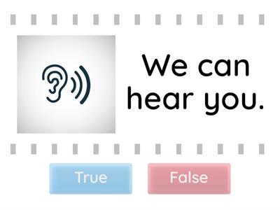 Zoom functions True or False Positive