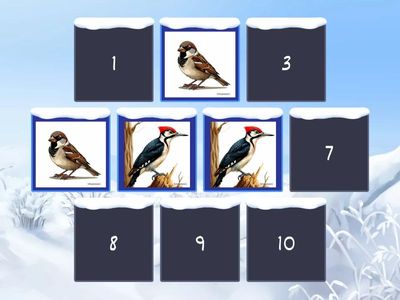 Зимующие птицы. Найди пару. Развитие зрительной памяти.