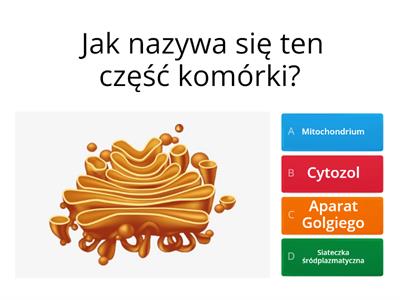 Biologia 5 klasa dział 2 komórki