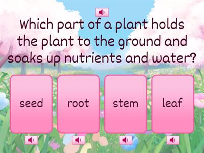 Science: Plant Quiz 3rd Grade