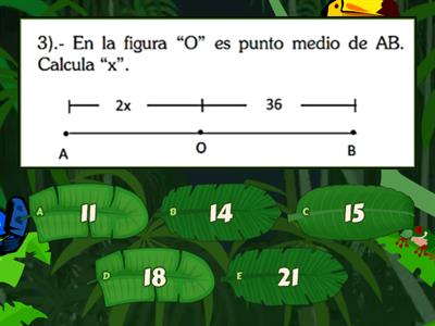 Segmentos - 1° secundaria