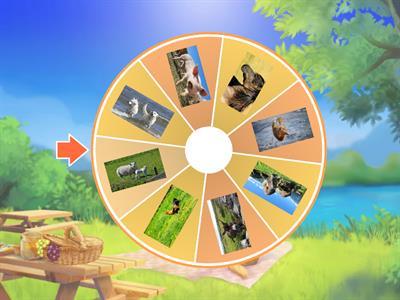 Percepción Auditiva y visual