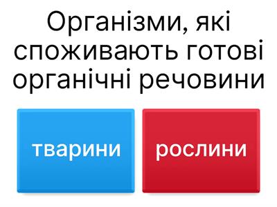 Класи тварин