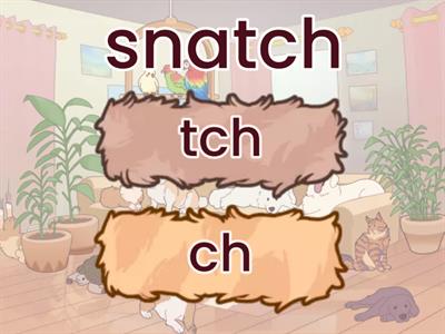 tch and ch words