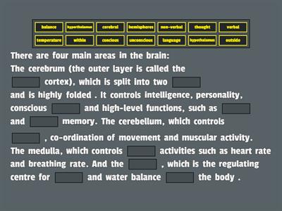 KS4 The Brain Word fill