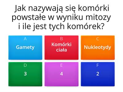 Test: Genetyka, klasa 8 