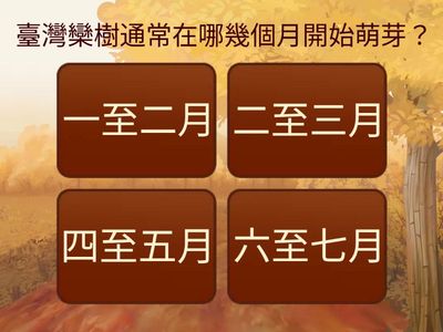 台灣欒樹的故事