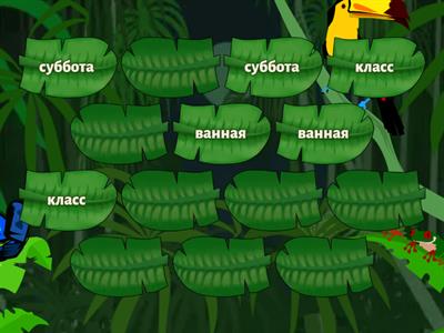  Словарные слова с удвоенными согласными 