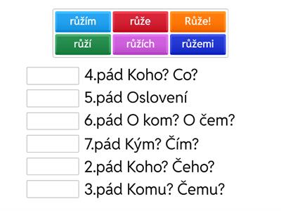 Skloňování Růže (množné číslo)