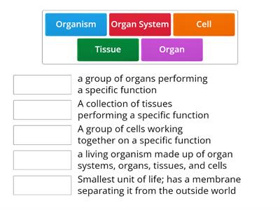 Levels of Organization