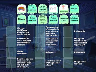  Cell Membrane & Transport - Vocabulary