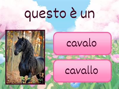 parole con le doppie