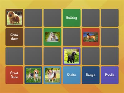 Dog Breeds Matching Game!