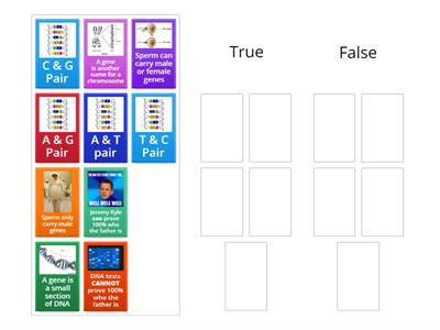 BTEC 3.1 Jeremy Kyle DNA True or False