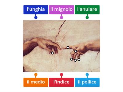 Le mani con Michelangelo