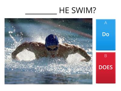 PRESENT SIMPLE - Yes/No Questions