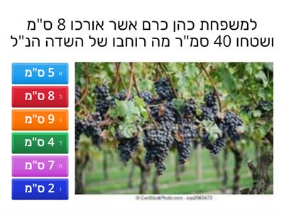 שנת שמיטה שטח היקף ונפחמשפחת כהן