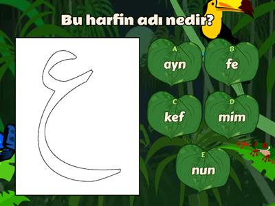 KURAN HARFLERİ (BU HARFİN ADI NEDİR OYUNU ) 