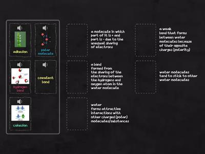 Chemical Properties of Water