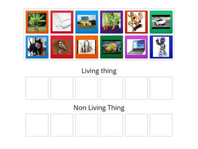 Please sort living thing and non-living thing 