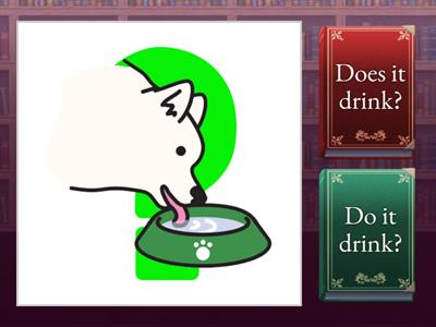 Present Simple | Questions | Do/does