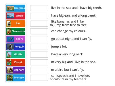 World animals! Read and match.