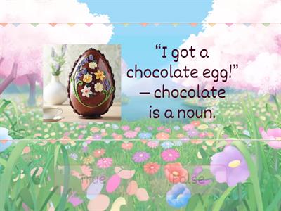 Grade 4 - Parts of Speech - true or false