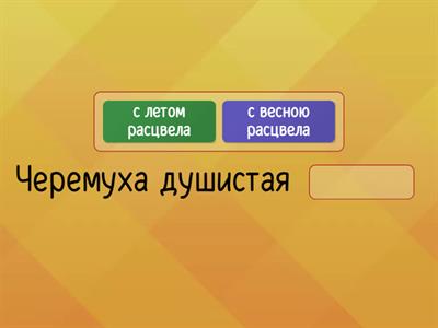 Литературный штурм