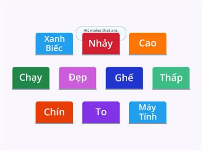 Từ Chỉ Đặc Điểm