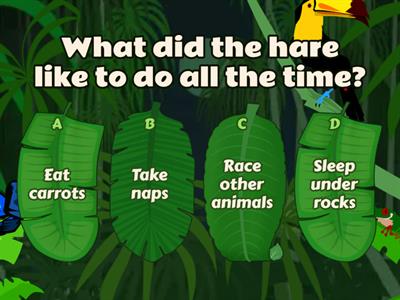 The Hare and The Tortoise