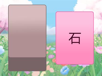 Chinese Character Practice