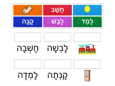 זכר נקבה