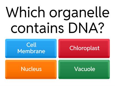 KS3 Cells Quiz