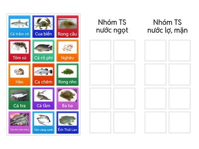 Phân loại TS theo môi trường nước