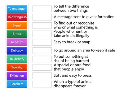 Turtle Fake Egg Article Vocabulary