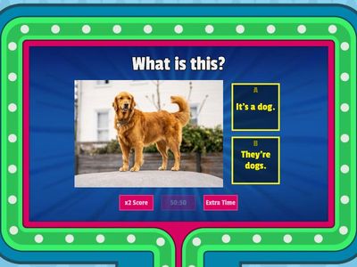  What is this? What are these?