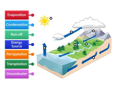 Water Cycle Labeled Diagram 