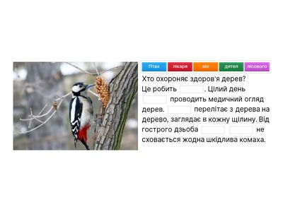 Удосконалення тексту