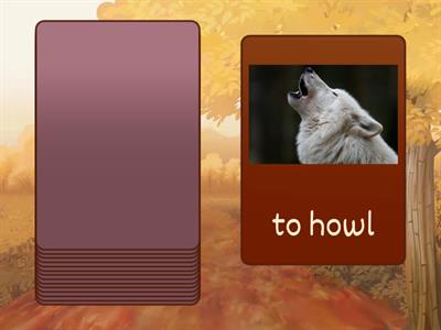 Lesson 3 autumn explorers