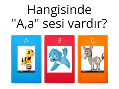  "A" Sesi Çalışması