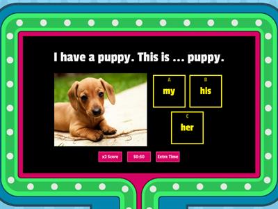 Quiz Possessive adjectives 