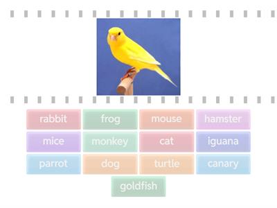 Project Explore Starter 2B