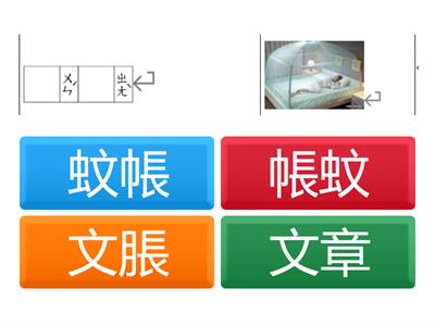 康軒五上國語L3蚊帳大使_課文生字語詞