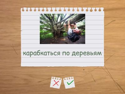  Academy stars 2. Sun bears