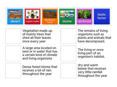 Topic 3 Lesson 1 SAVVAS 6th Grade Science