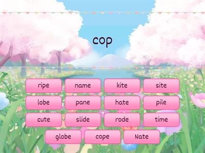 I have, do you have? (VCe)